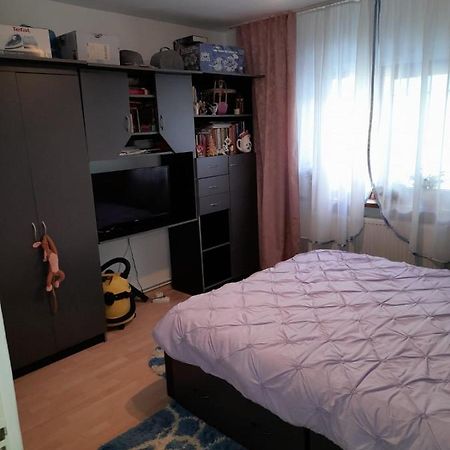 Apartament Straja - Lupeni  Exteriér fotografie