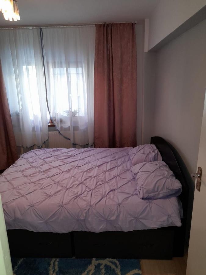 Apartament Straja - Lupeni  Exteriér fotografie