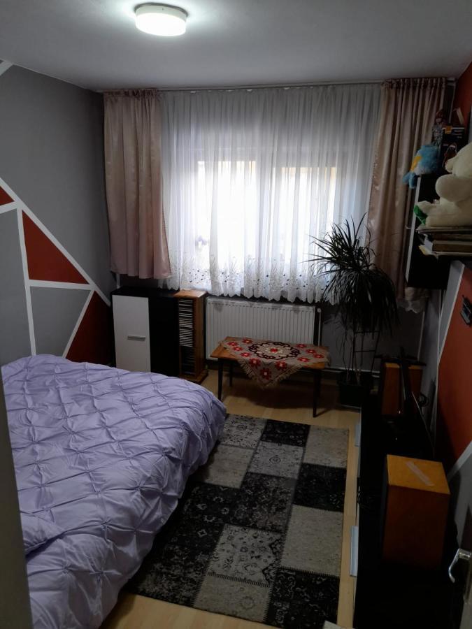 Apartament Straja - Lupeni  Exteriér fotografie